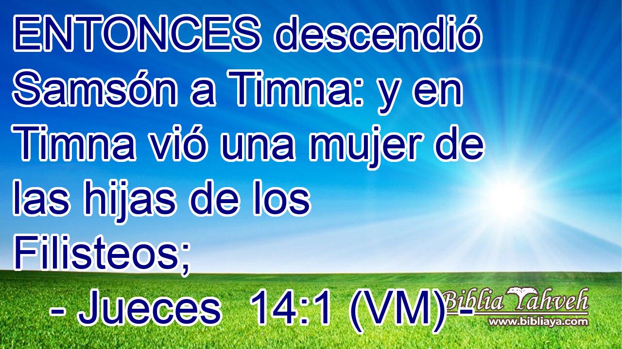  ENTONCES descendió Samsón a Timna: y en Timna vió una mujer de las hijas de los Filisteos; 