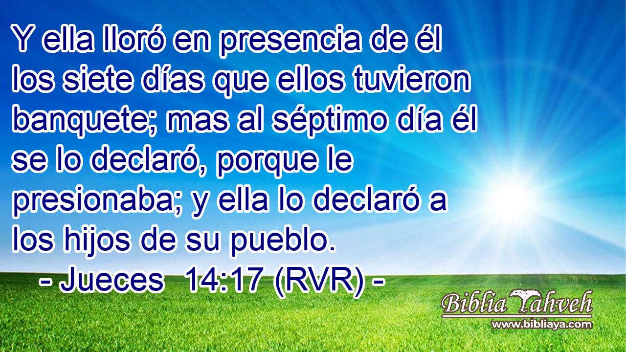 Y ella lloró en presencia de él los siete días que ellos tuvieron banquete; mas al séptimo día él se lo declaró, porque le presionaba; y ella lo declaró a los hijos de su pueblo.