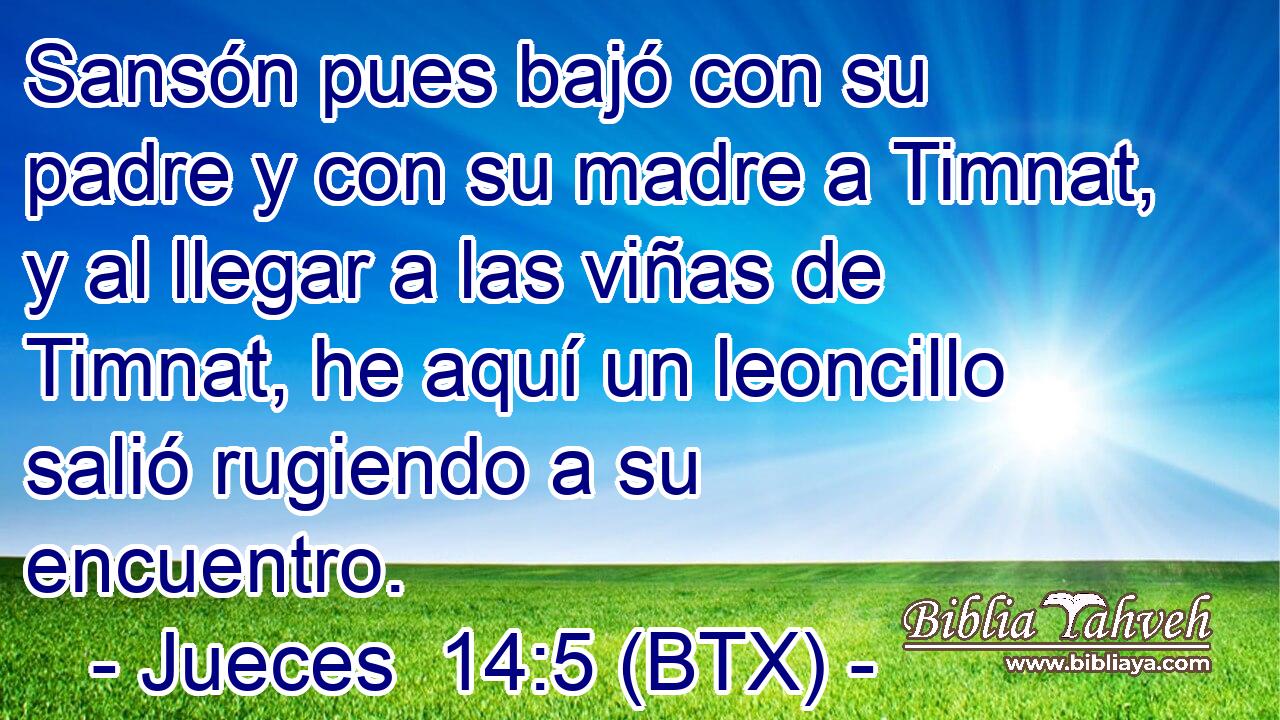 Sansón pues bajó con su padre y con su madre a Timnat, y al llegar a las viñas de Timnat, he aquí un leoncillo salió rugiendo a su encuentro.