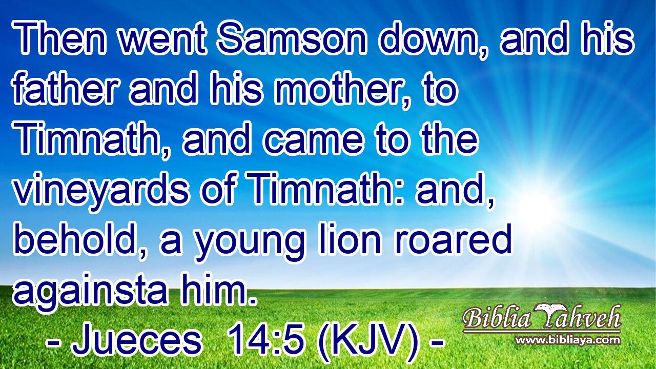 Then went Samson down, and his father and his mother, to Timnath, and came to the vineyards of Timnath: and, behold, a young lion roared againsta him.