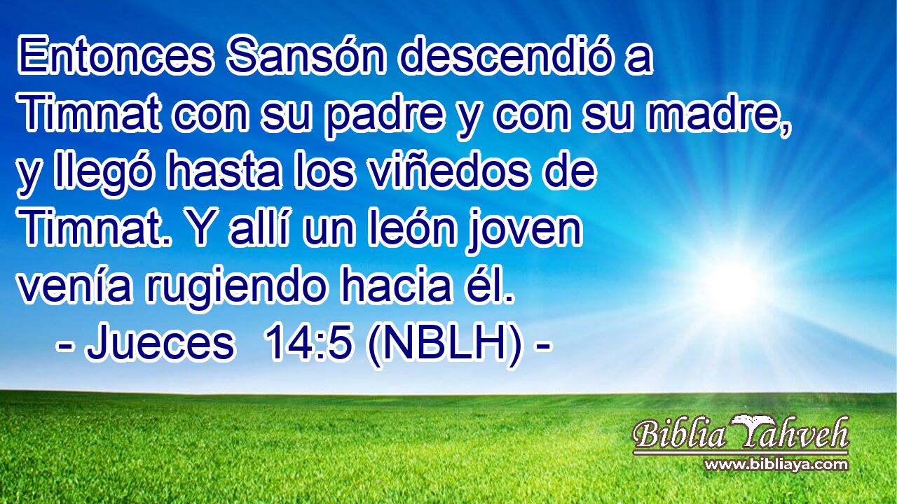  Entonces Sansón descendió a Timnat con su padre y con su madre, y llegó hasta los viñedos de Timnat. Y allí un león joven venía rugiendo hacia él. 