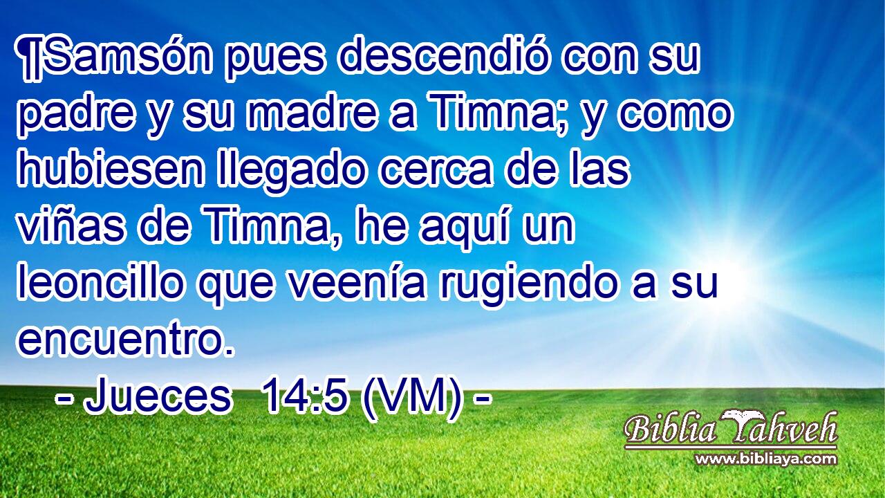  ¶Samsón pues descendió con su padre y su madre a Timna; y como hubiesen llegado cerca de las viñas de Timna, he aquí un leoncillo que veenía rugiendo a su encuentro. 