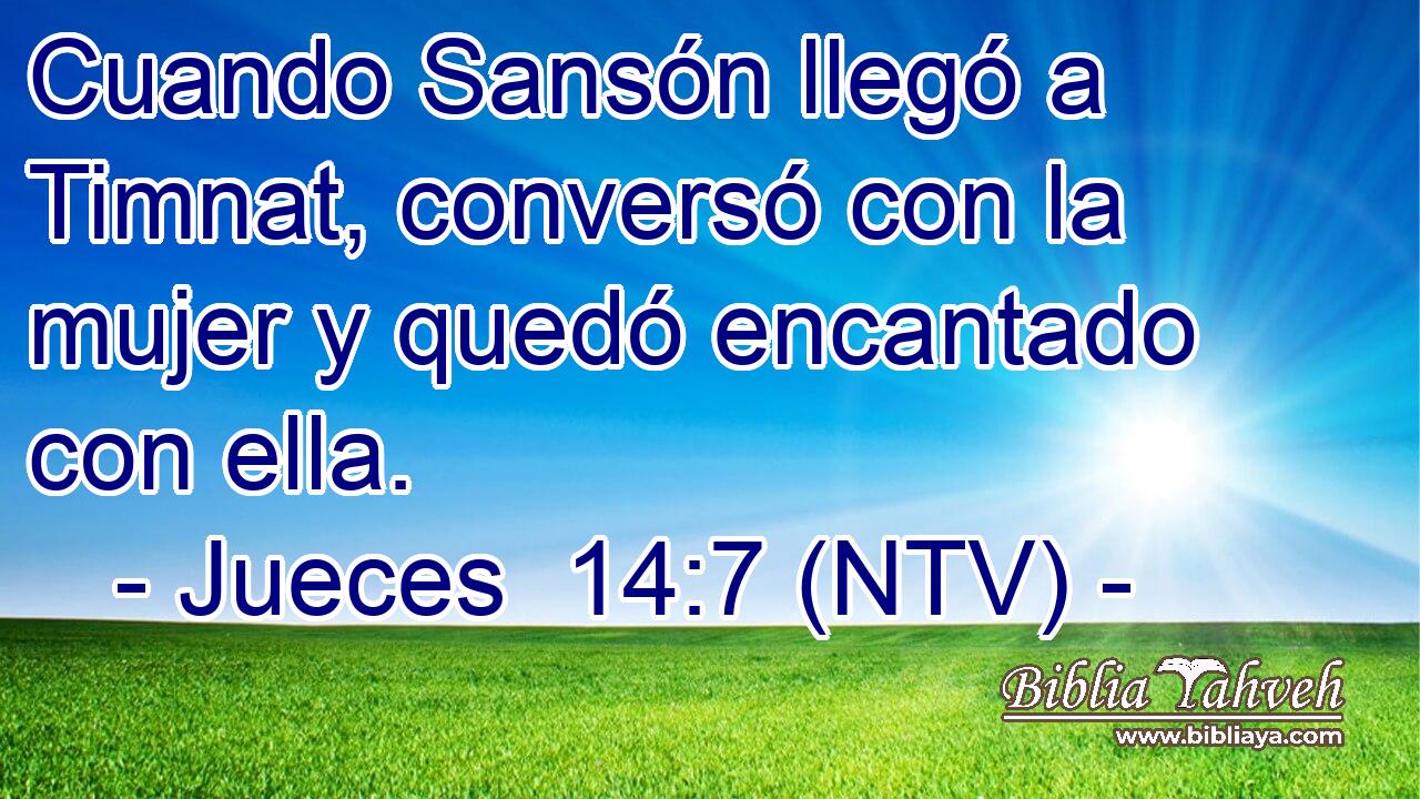 Cuando Sansón llegó a Timnat, conversó con la mujer y quedó encantado con ella.