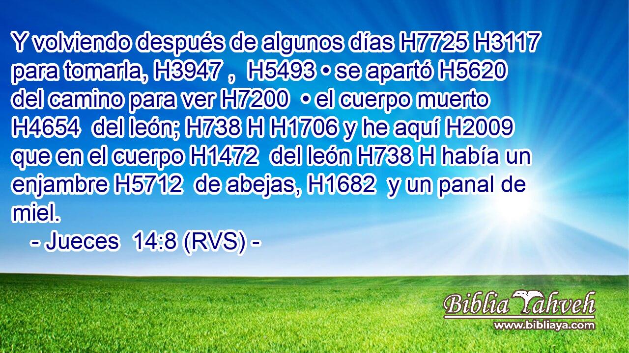 Y volviendo después de algunos días H7725 H3117  para tomarla, H3947 ,  H5493 • se apartó H5620  del camino para ver H7200  • el cuerpo muerto H4654  del león; H738 H H1706 y he aquí H2009  que en el cuerpo H1472  del león H738 H había un enjambre H5712  de abejas, H1682  y un panal de miel. 