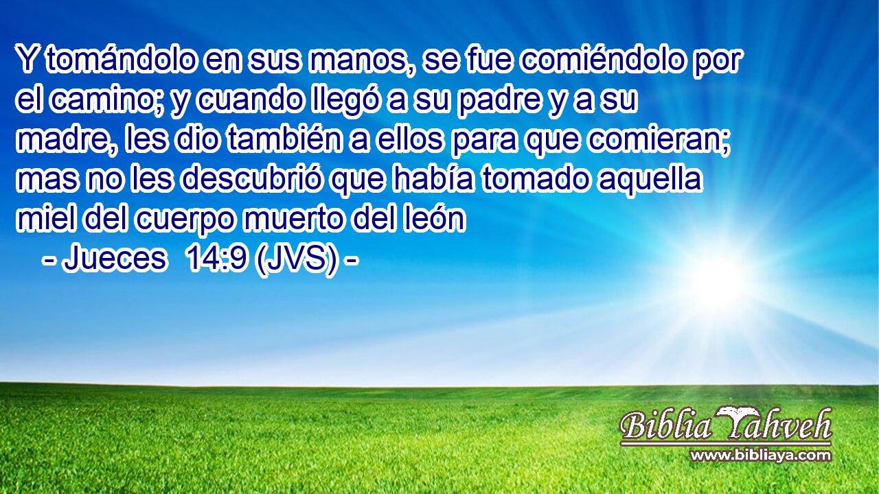 jueces 14 6 9