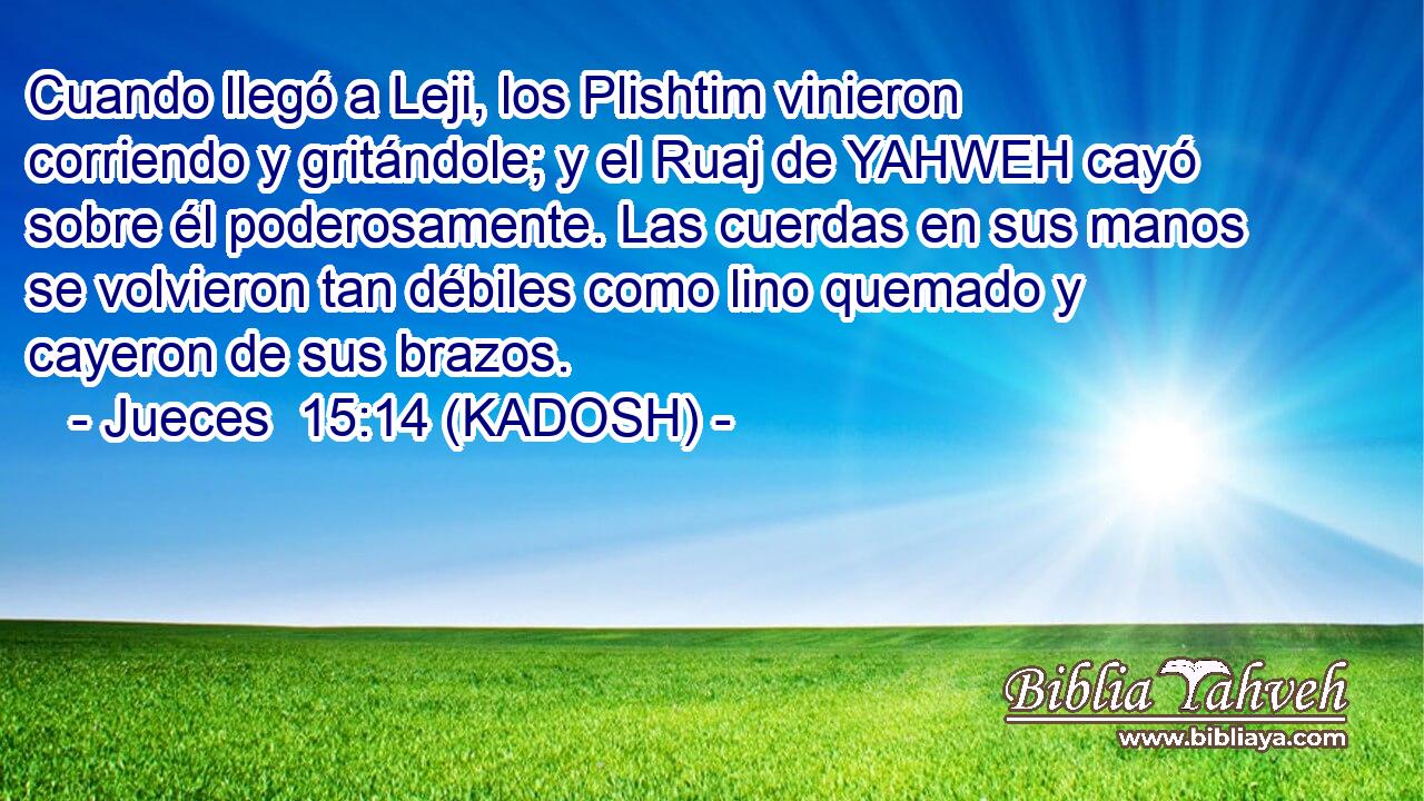  Cuando llegó a Leji, los Plishtim vinieron corriendo y gritándole; y el Ruaj de YAHWEH cayó sobre él poderosamente. Las cuerdas en sus manos se volvieron tan débiles como lino quemado y cayeron de sus brazos. 