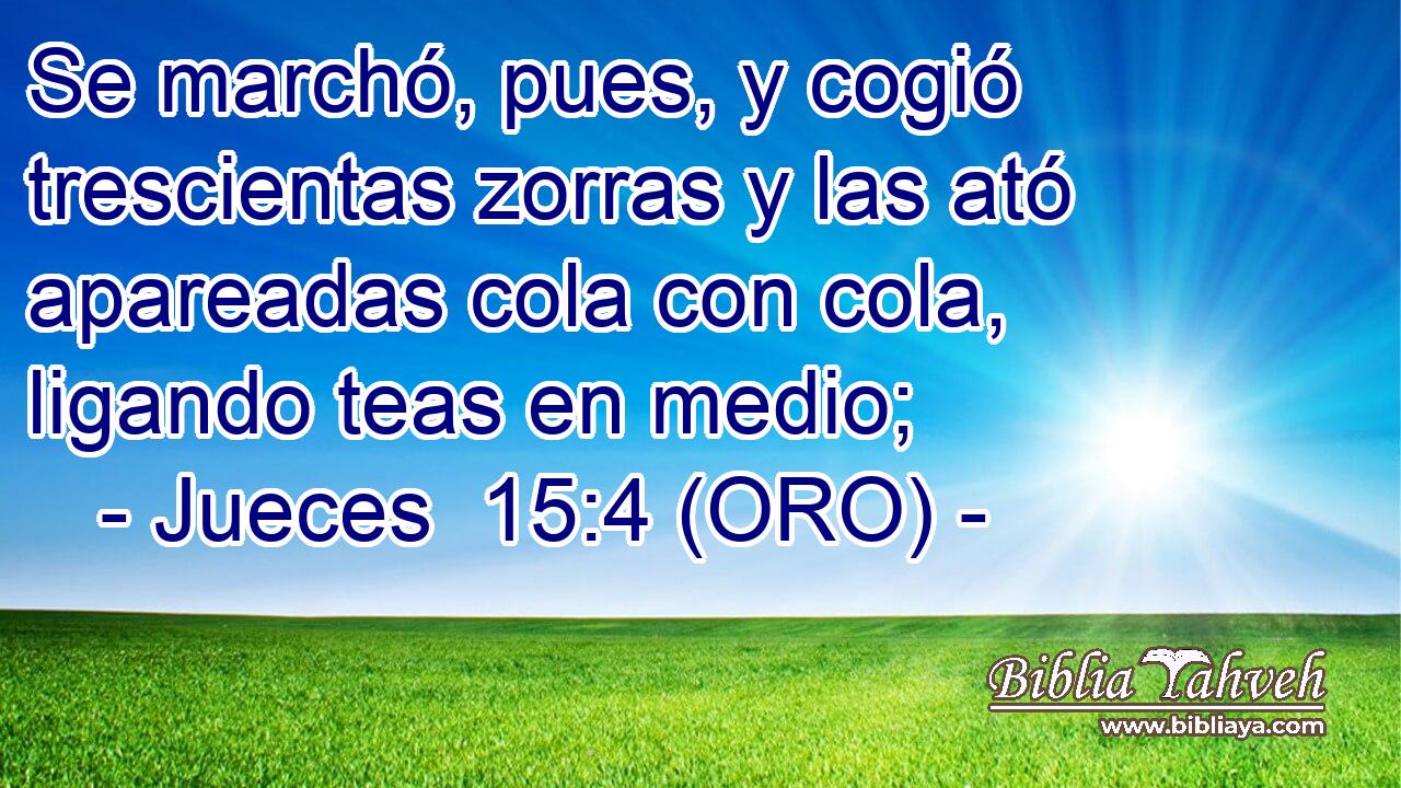  Se marchó, pues, y cogió trescientas zorras y las ató apareadas cola con cola, ligando teas en medio; 