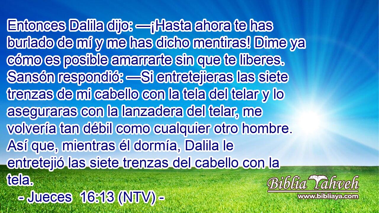 Entonces Dalila dijo: —¡Hasta ahora te has burlado de mí y me has dicho mentiras! Dime ya cómo es posible amarrarte sin que te liberes. Sansón respondió: —Si entretejieras las siete trenzas de mi cabello con la tela del telar y lo aseguraras con la lanzadera del telar, me volvería tan débil como cualquier otro hombre. Así que, mientras él dormía, Dalila le entretejió las siete trenzas del cabello con la tela.