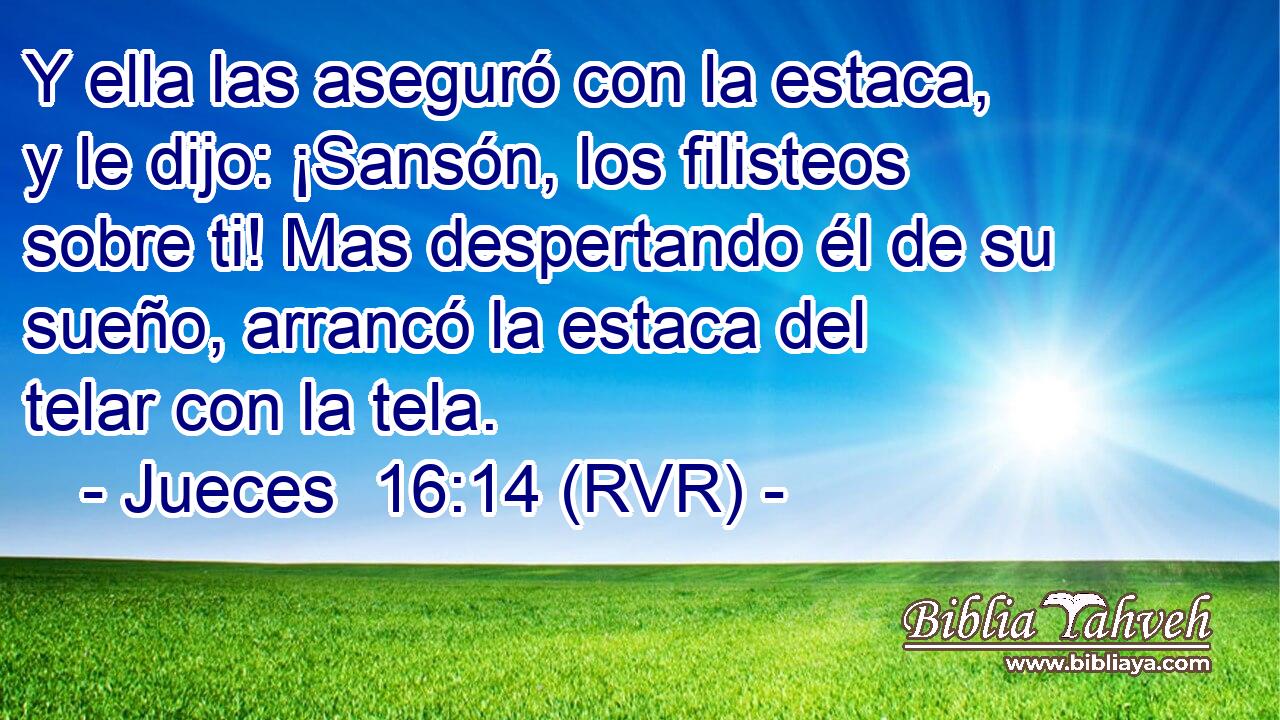 Y ella las aseguró con la estaca, y le dijo: ¡Sansón, los filisteos sobre ti! Mas despertando él de su sueño, arrancó la estaca del telar con la tela.