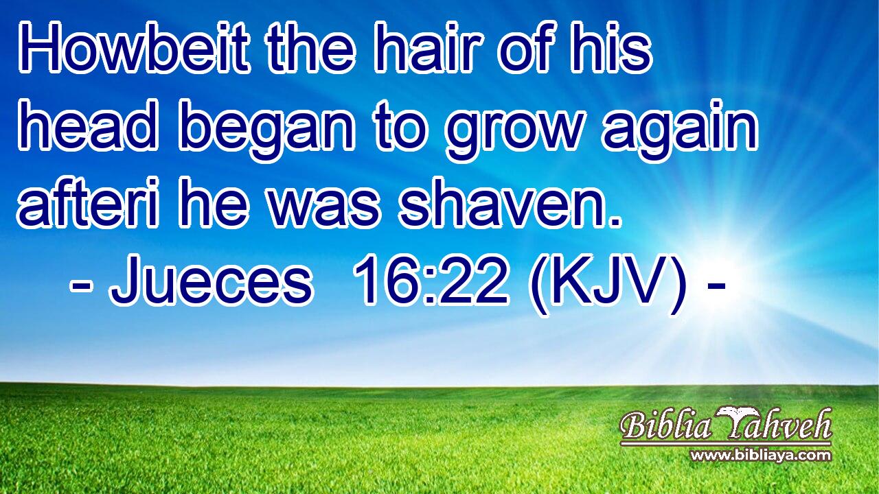 Howbeit the hair of his head began to grow again afteri he was shaven.