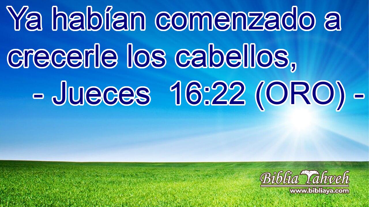  Ya habían comenzado a crecerle los cabellos, 