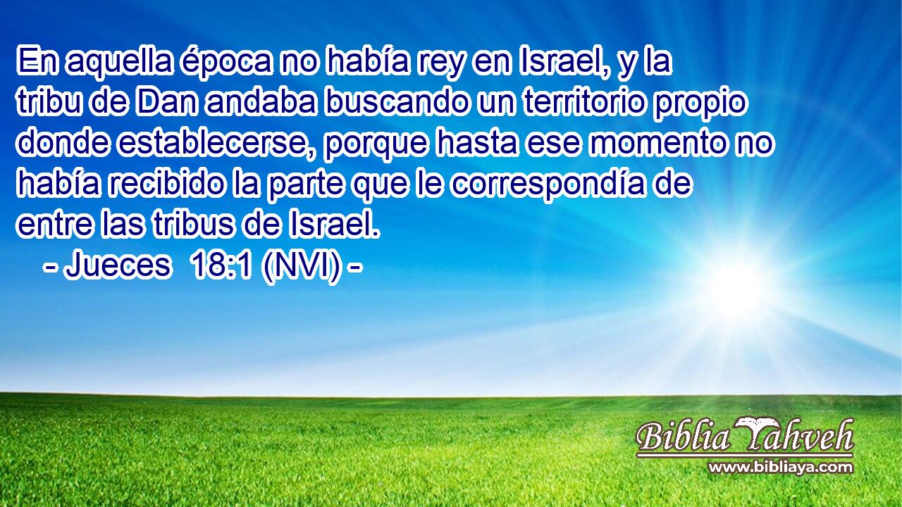  En aquella época no había rey en Israel, y la tribu de Dan andaba buscando un territorio propio donde establecerse, porque hasta ese momento no había recibido la parte que le correspondía de entre las tribus de Israel. 
