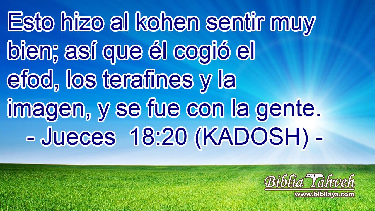  Esto hizo al kohen sentir muy bien; así que él cogió el efod, los terafines y la imagen, y se fue con la gente. 