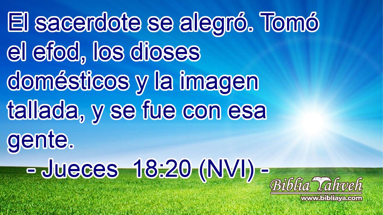  El sacerdote se alegró. Tomó el efod, los dioses domésticos y la imagen tallada, y se fue con esa gente. 