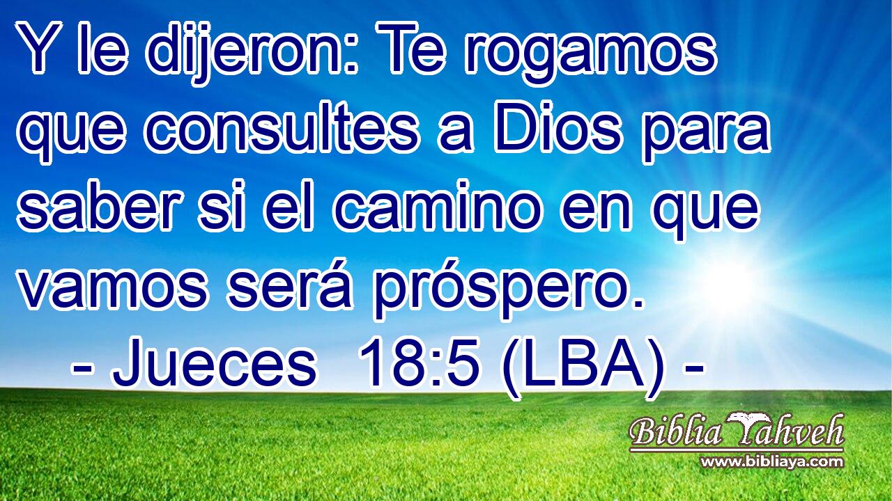 Y le dijeron: Te rogamos que consultes a Dios para saber si el camino en que vamos será próspero.