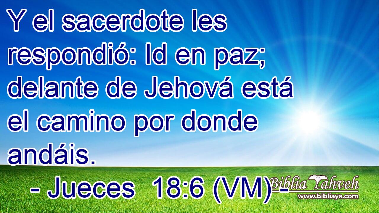  Y el sacerdote les respondió: Id en paz; delante de Jehová está el camino por donde andáis. 