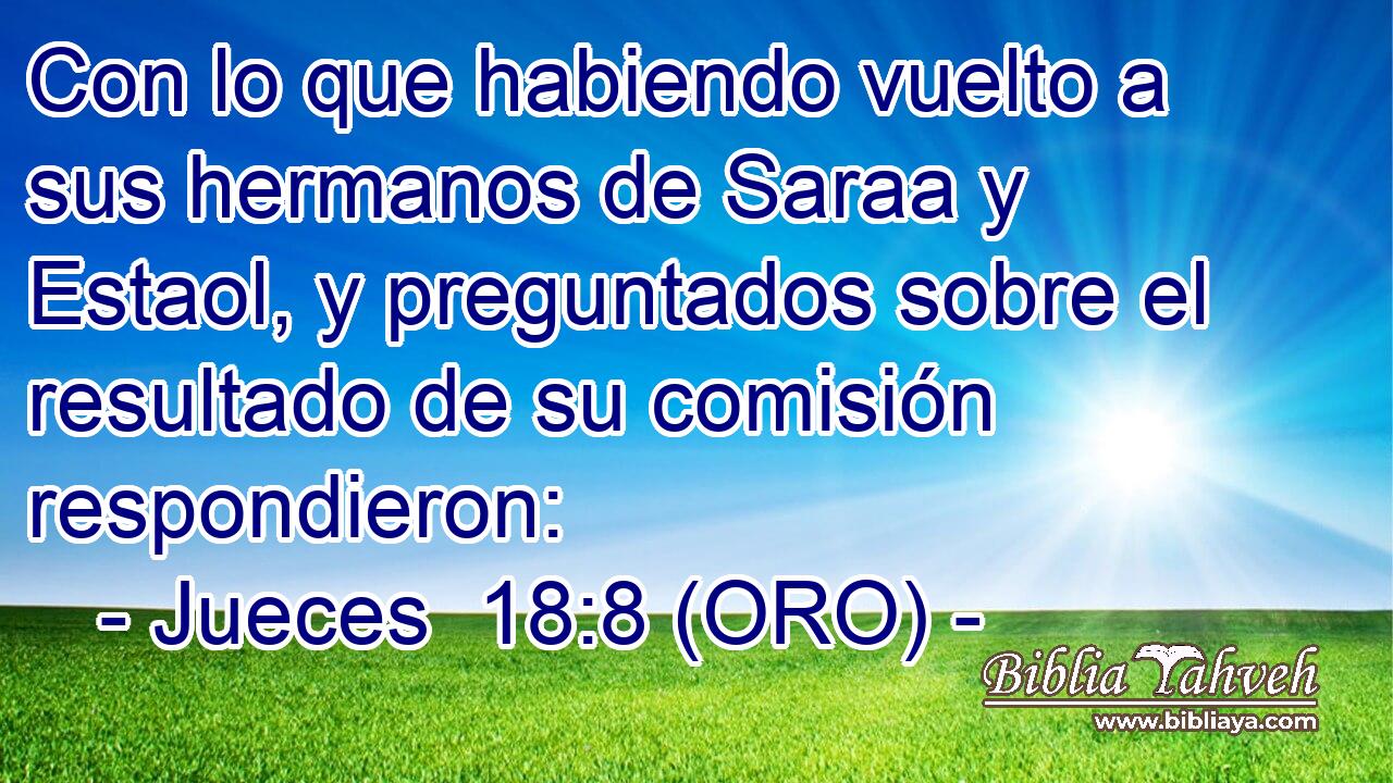  Con lo que habiendo vuelto a sus hermanos de Saraa y Estaol, y preguntados sobre el resultado de su comisión respondieron: 