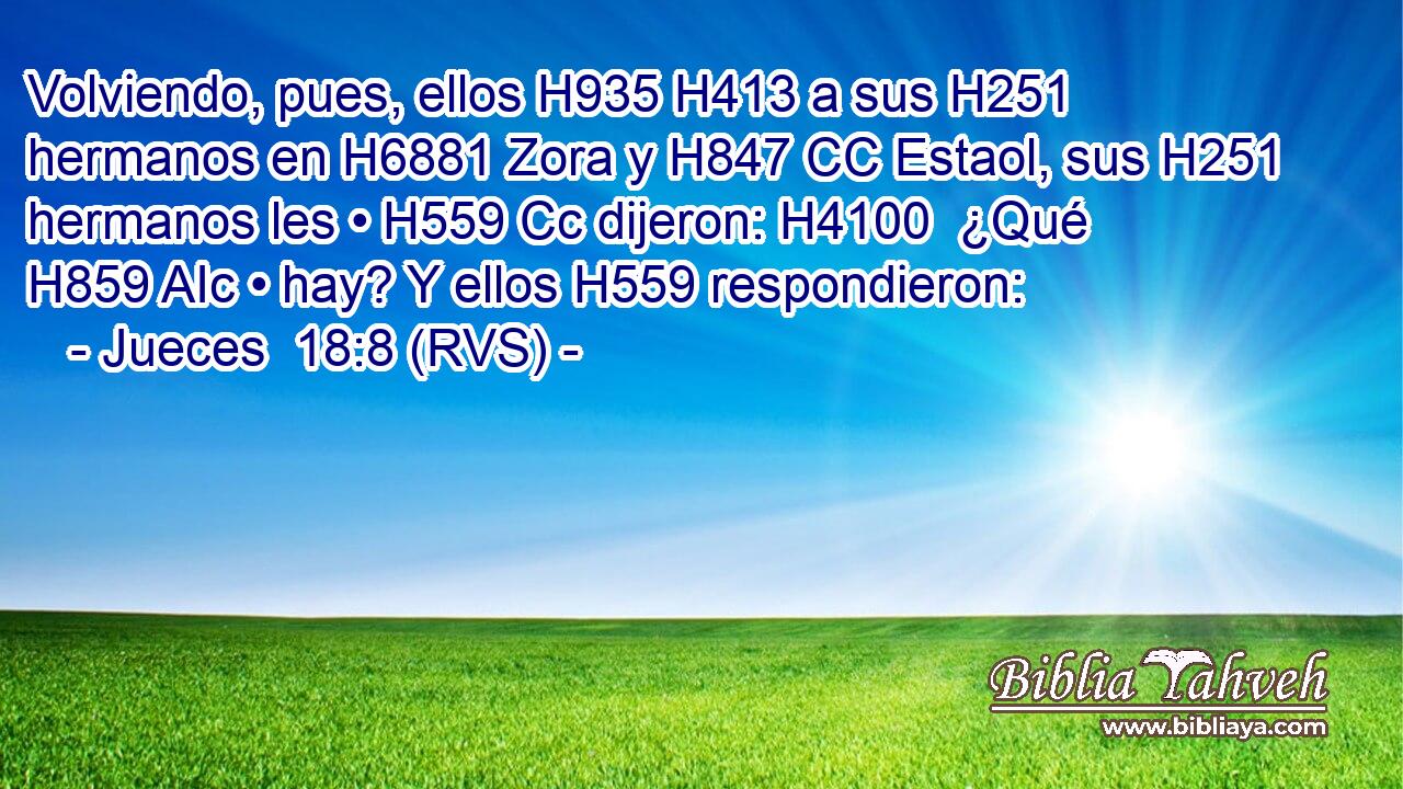 Volviendo, pues, ellos H935 H413 a sus H251  hermanos en H6881 Zora y H847 CC Estaol, sus H251  hermanos les • H559 Cc dijeron: H4100  ¿Qué H859 AIc • hay? Y ellos H559 respondieron: 
