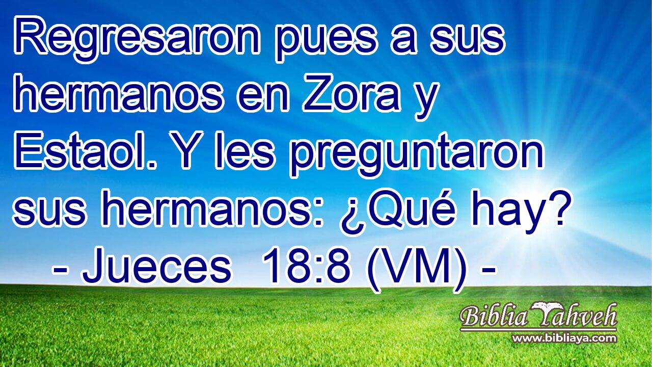  Regresaron pues a sus hermanos en Zora y Estaol. Y les preguntaron sus hermanos: ¿Qué hay? 