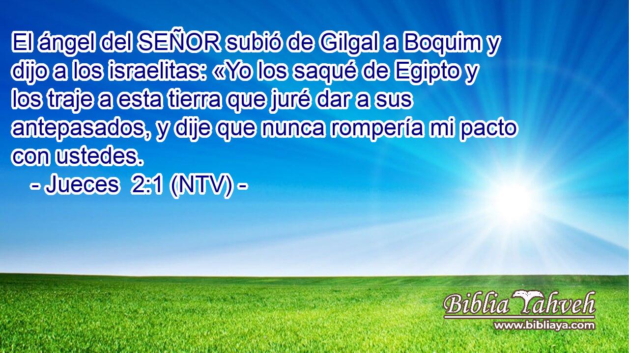 El ángel del SEÑOR subió de Gilgal a Boquim y dijo a los israelitas: «Yo los saqué de Egipto y los traje a esta tierra que juré dar a sus antepasados, y dije que nunca rompería mi pacto con ustedes.