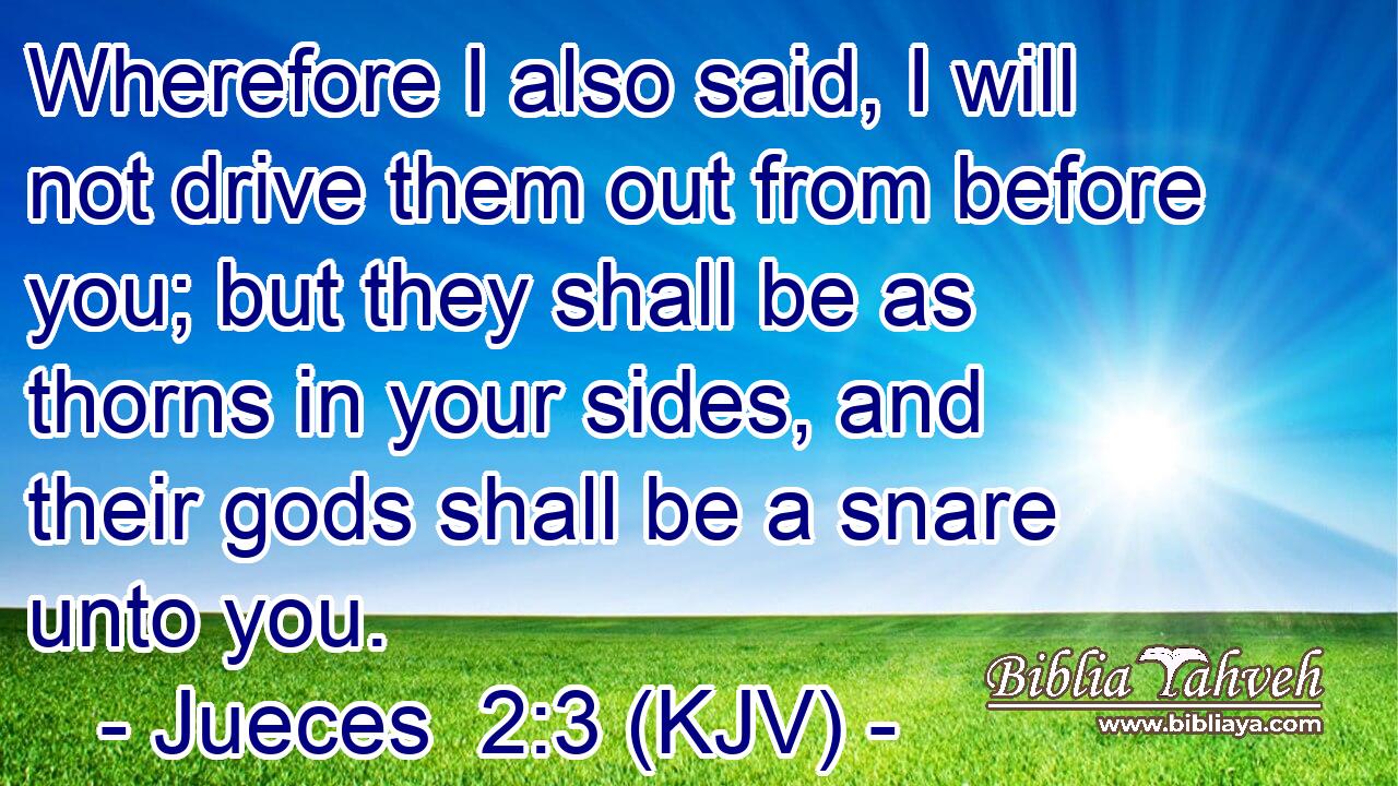 Wherefore I also said, I will not drive them out from before you; but they shall be as thorns in your sides, and their gods shall be a snare unto you.