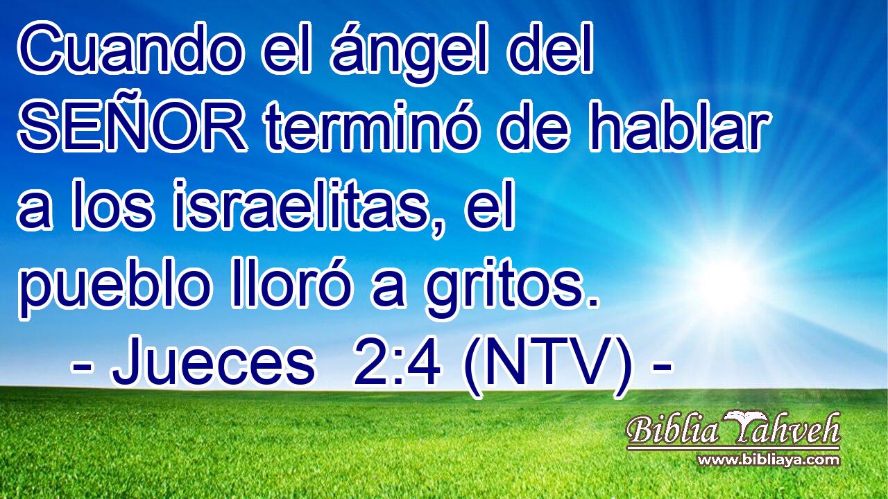 Cuando el ángel del SEÑOR terminó de hablar a los israelitas, el pueblo lloró a gritos.