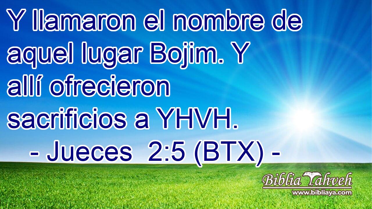 Y llamaron el nombre de aquel lugar Bojim. Y allí ofrecieron sacrificios a YHVH.