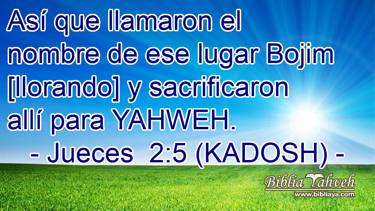  Así que llamaron el nombre de ese lugar Bojim [llorando] y sacrificaron allí para YAHWEH. 