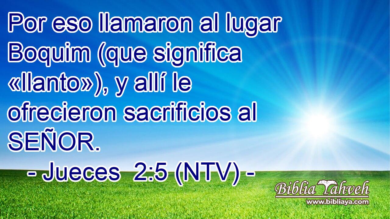 Por eso llamaron al lugar Boquim (que significa «llanto»), y allí le ofrecieron sacrificios al SEÑOR.