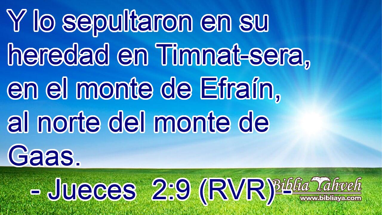 Y lo sepultaron en su heredad en Timnat-sera, en el monte de Efraín, al norte del monte de Gaas.