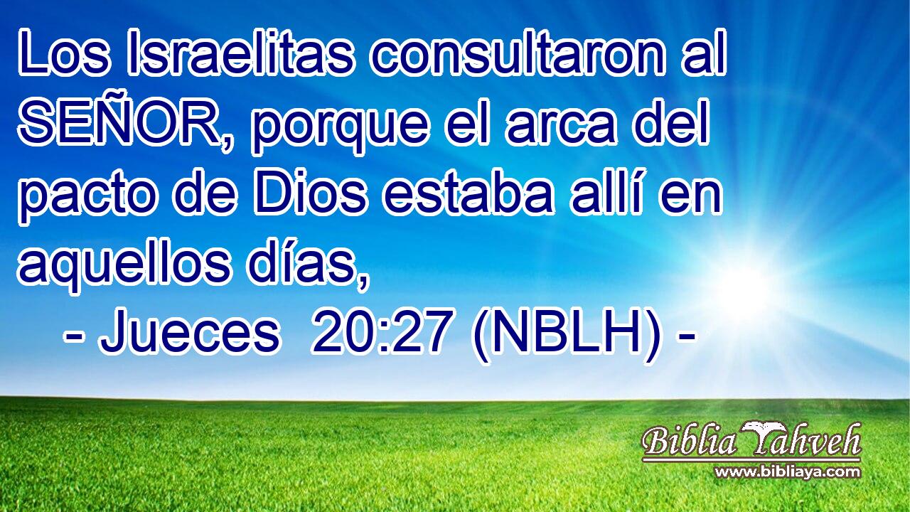  Los Israelitas consultaron al SEÑOR, porque el arca del pacto de Dios estaba allí en aquellos días, 