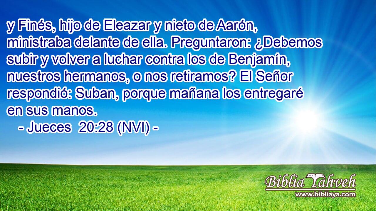  y Finés, hijo de Eleazar y nieto de Aarón, ministraba delante de ella. Preguntaron: ¿Debemos subir y volver a luchar contra los de Benjamín, nuestros hermanos, o nos retiramos? El Señor respondió: Suban, porque mañana los entregaré en sus manos. 