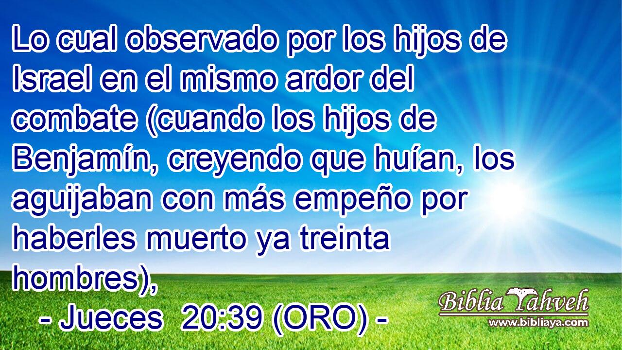  Lo cual observado por los hijos de Israel en el mismo ardor del combate (cuando los hijos de Benjamín, creyendo que huían, los aguijaban con más empeño por haberles muerto ya treinta hombres), 
