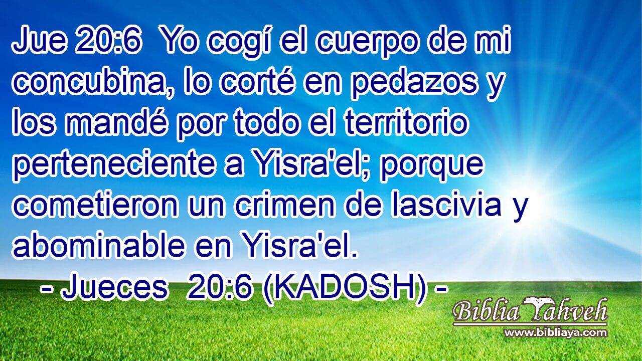  Yo cogí el cuerpo de mi concubina, lo corté en pedazos y los mandé por todo el territorio perteneciente a Yisra'el; porque cometieron un crimen de lascivia y abominable en Yisra'el. 