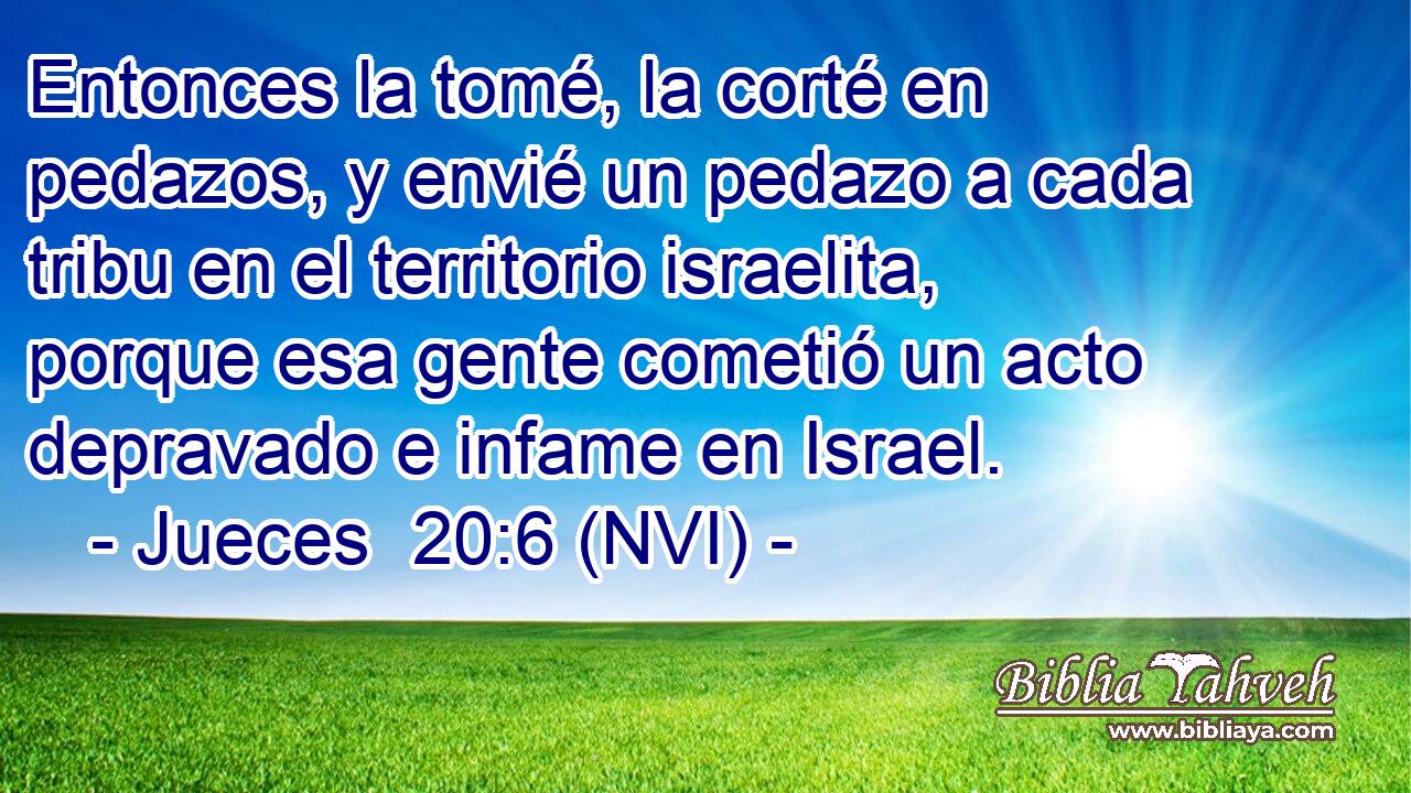  Entonces la tomé, la corté en pedazos, y envié un pedazo a cada tribu en el territorio israelita, porque esa gente cometió un acto depravado e infame en Israel. 