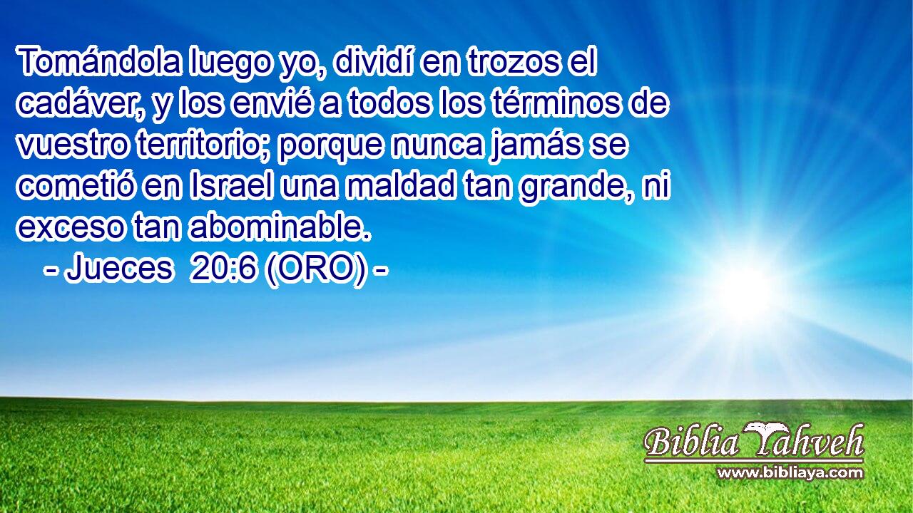  Tomándola luego yo, dividí en trozos el cadáver, y los envié a todos los términos de vuestro territorio; porque nunca jamás se cometió en Israel una maldad tan grande, ni exceso tan abominable. 