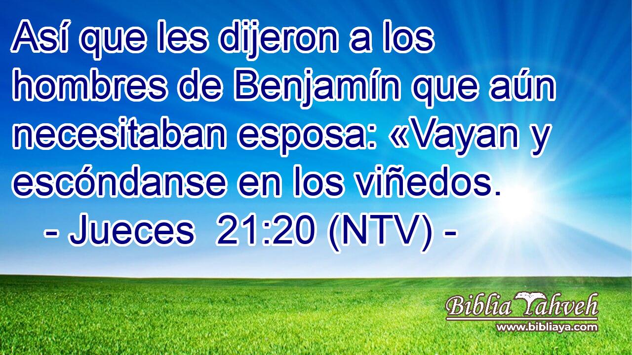 Así que les dijeron a los hombres de Benjamín que aún necesitaban esposa: «Vayan y escóndanse en los viñedos.