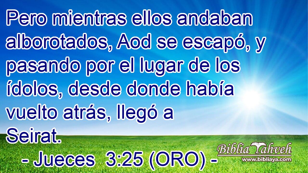  Pero mientras ellos andaban alborotados, Aod se escapó, y pasando por el lugar de los ídolos, desde donde había vuelto atrás, llegó a Seirat. 