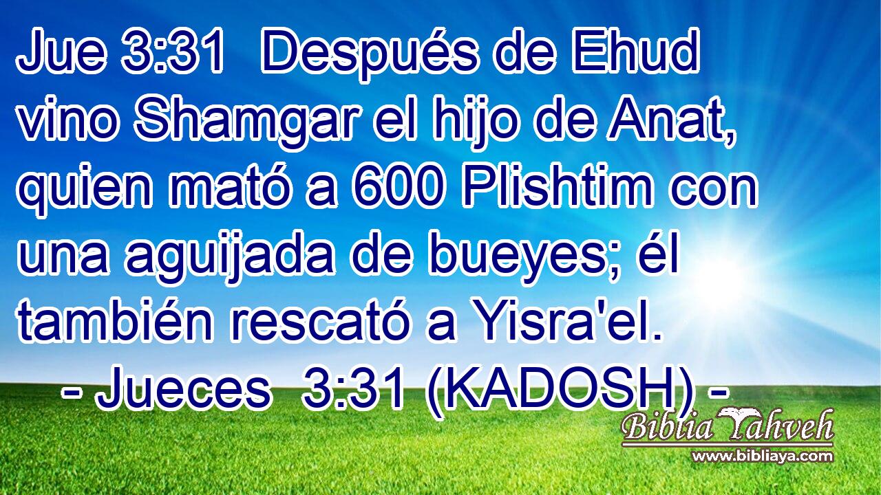  Después de Ehud vino Shamgar el hijo de Anat, quien mató a 600 Plishtim con una aguijada de bueyes; él también rescató a Yisra'el. 