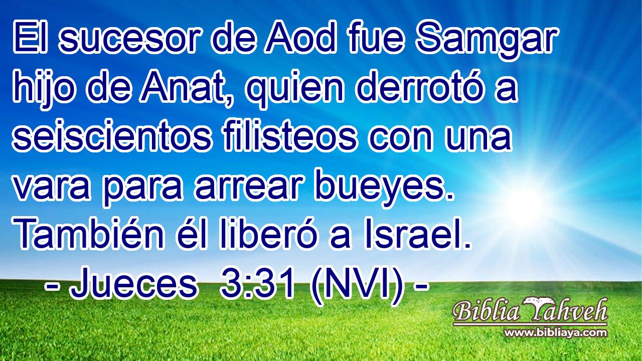  El sucesor de Aod fue Samgar hijo de Anat, quien derrotó a seiscientos filisteos con una vara para arrear bueyes. También él liberó a Israel. 