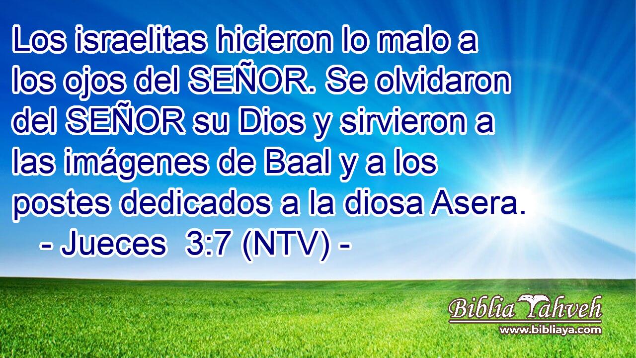 Los israelitas hicieron lo malo a los ojos del SEÑOR. Se olvidaron del SEÑOR su Dios y sirvieron a las imágenes de Baal y a los postes dedicados a la diosa Asera.