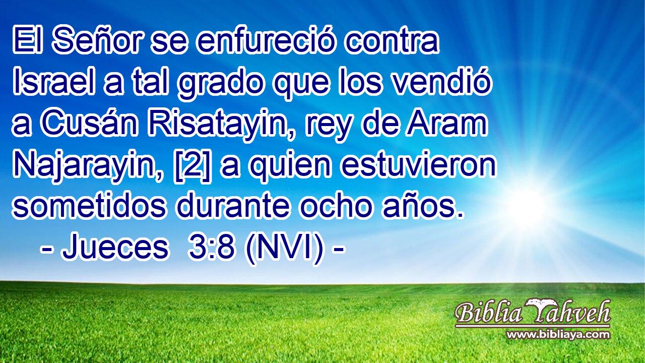  El Señor se enfureció contra Israel a tal grado que los vendió a Cusán Risatayin, rey de Aram Najarayin, [2] a quien estuvieron sometidos durante ocho años. 