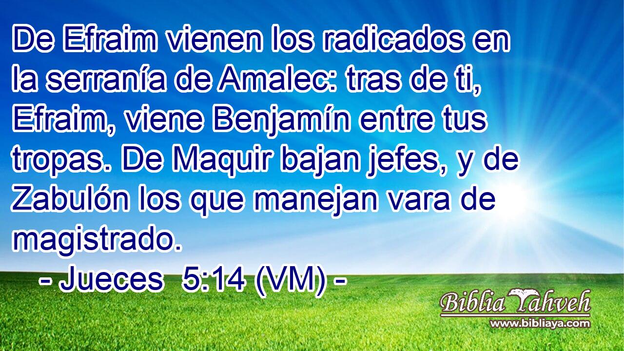  De Efraim vienen los radicados en la serranía de Amalec: tras de ti, Efraim, viene Benjamín entre tus tropas. De Maquir bajan jefes, y de Zabulón los que manejan vara de magistrado. 