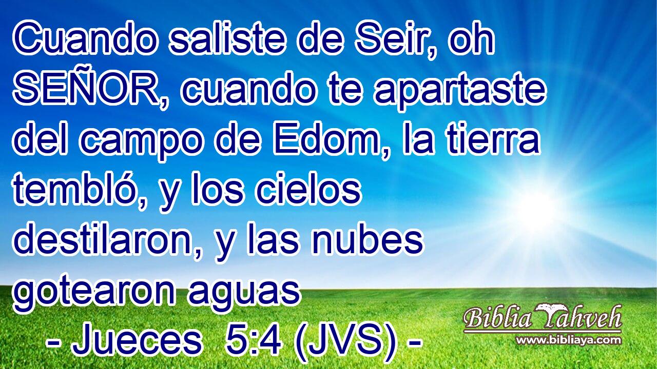 Cuando saliste de Seir, oh SEÑOR, cuando te apartaste del campo de Edom, la tierra tembló, y los cielos destilaron, y las nubes gotearon aguas