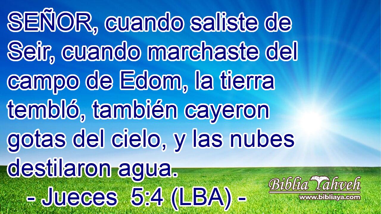 SEÑOR, cuando saliste de Seir, cuando marchaste del campo de Edom, la tierra tembló, también cayeron gotas del cielo, y las nubes destilaron agua.