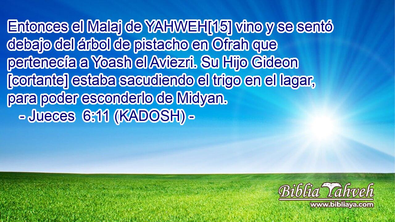  Entonces el Malaj de YAHWEH[15] vino y se sentó debajo del árbol de pistacho en Ofrah que pertenecía a Yoash el Aviezri. Su Hijo Gideon [cortante] estaba sacudiendo el trigo en el lagar, para poder esconderlo de Midyan. 
