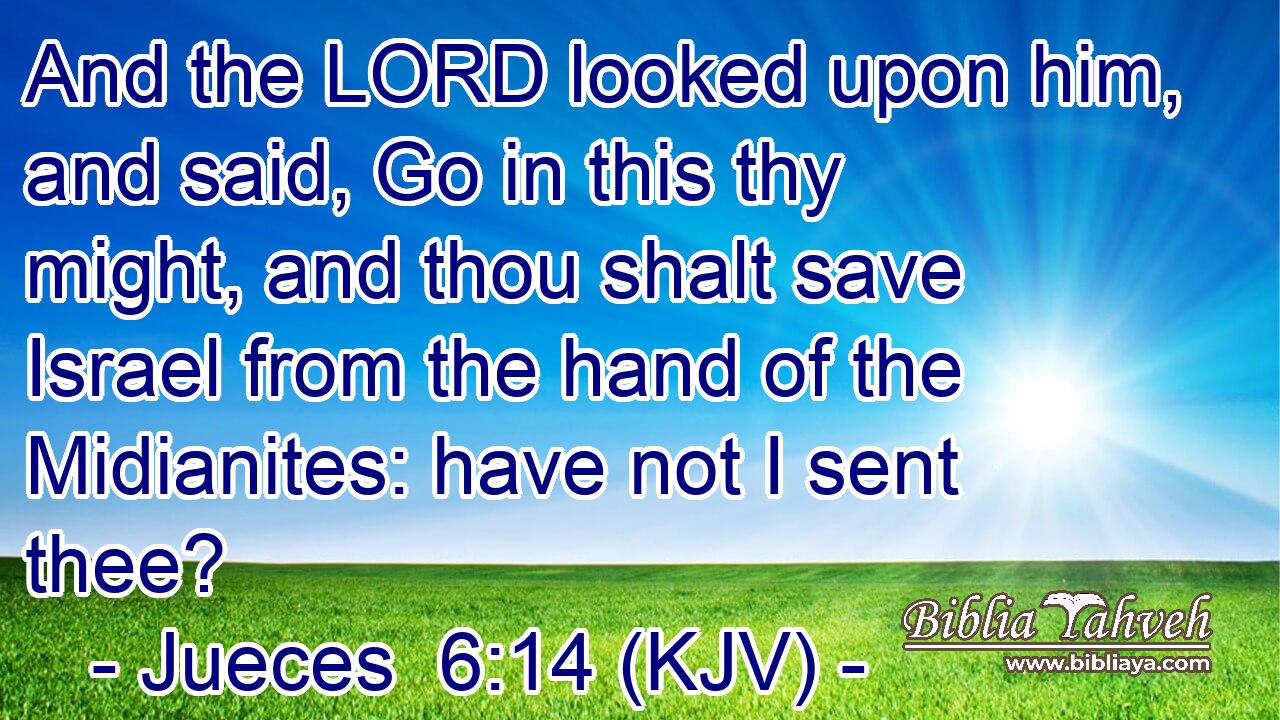 And the LORD looked upon him, and said, Go in this thy might, and thou shalt save Israel from the hand of the Midianites: have not I sent thee?