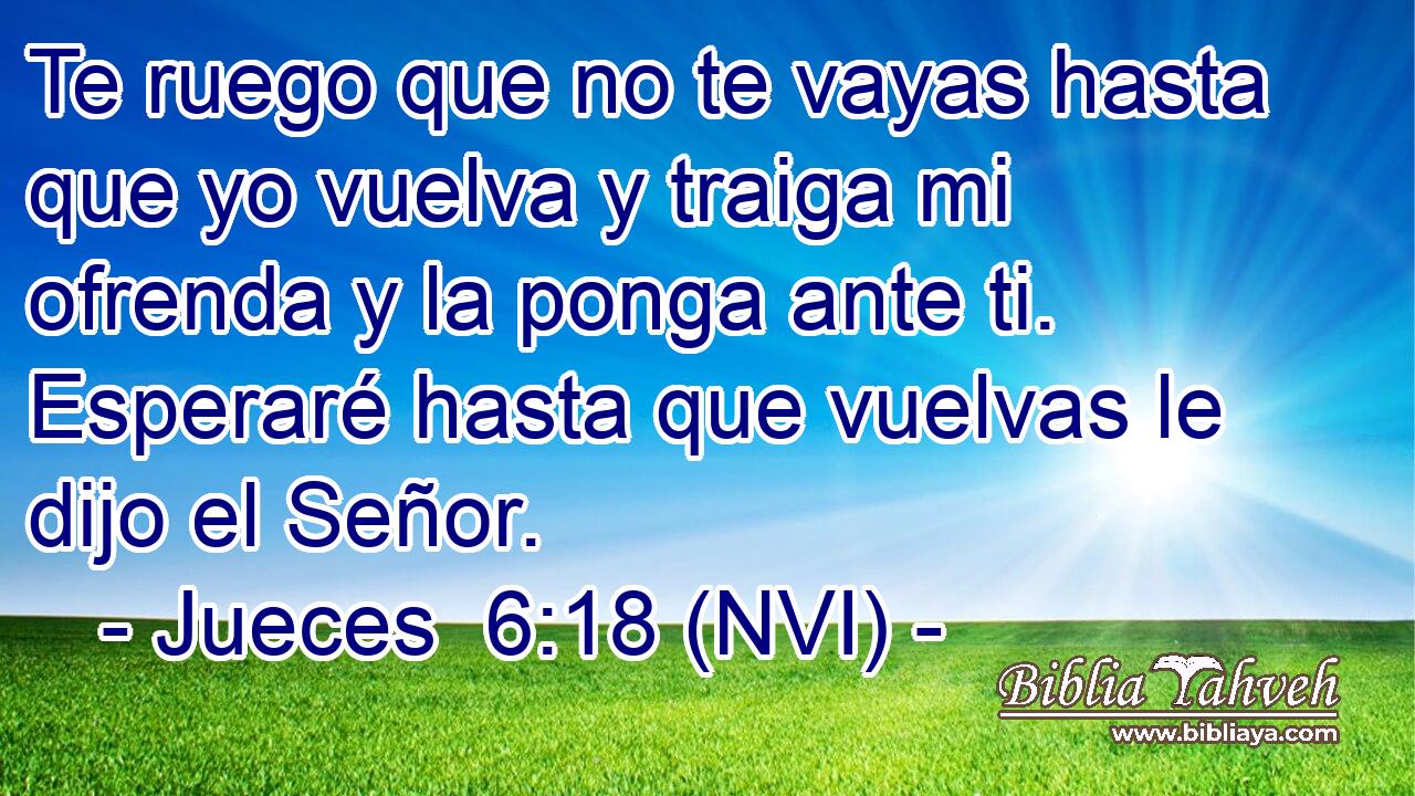  Te ruego que no te vayas hasta que yo vuelva y traiga mi ofrenda y la ponga ante ti. Esperaré hasta que vuelvas le dijo el Señor. 