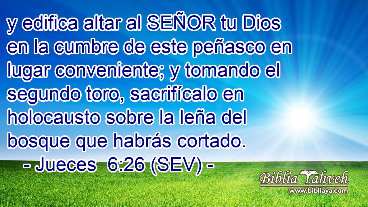y edifica altar al SEÑOR tu Dios en la cumbre de este peñasco en lugar conveniente; y tomando el segundo toro, sacrifícalo en holocausto sobre la leña del bosque que habrás cortado.