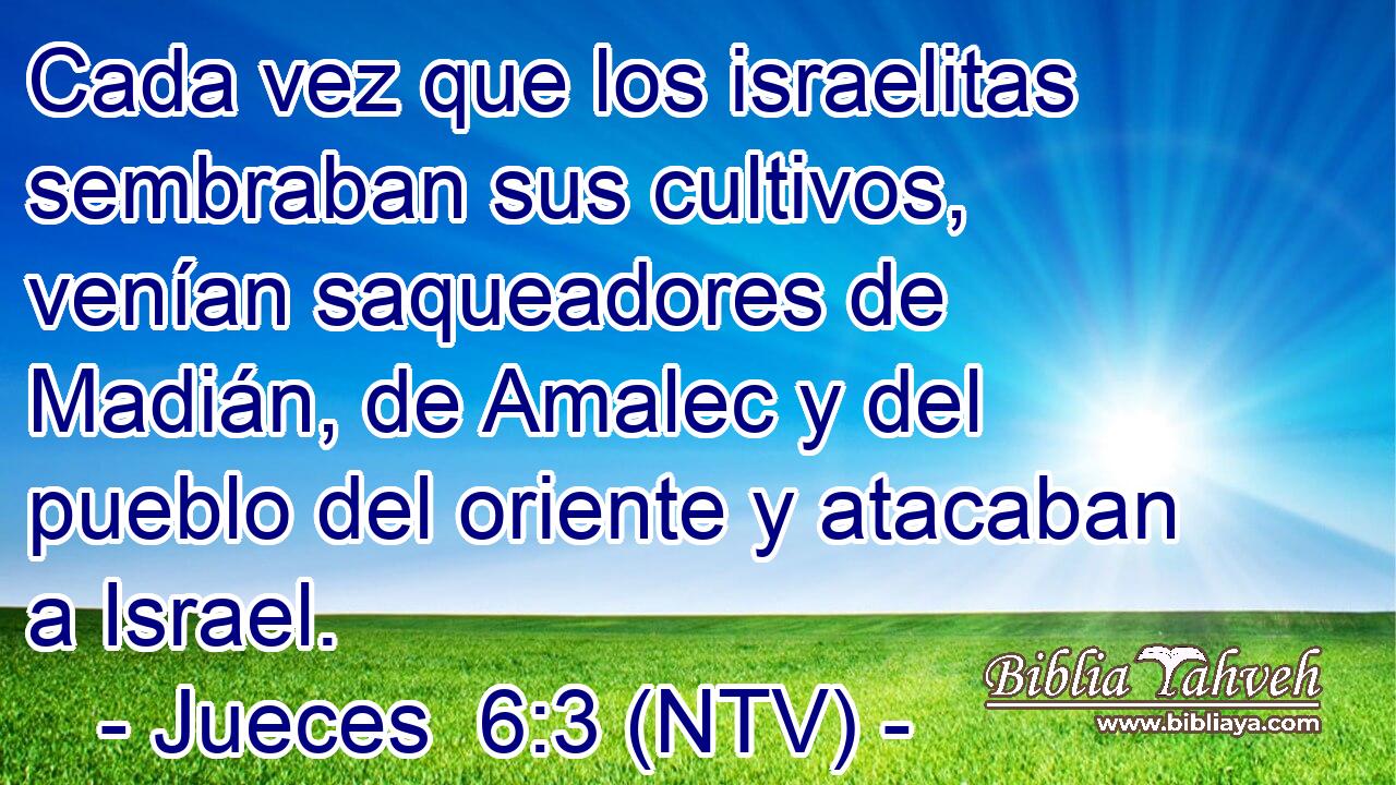 Cada vez que los israelitas sembraban sus cultivos, venían saqueadores de Madián, de Amalec y del pueblo del oriente y atacaban a Israel.